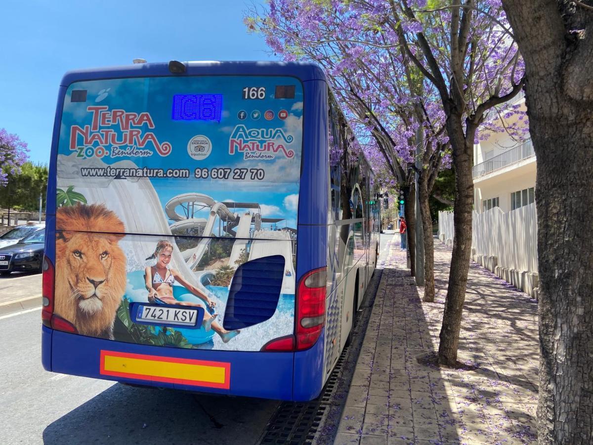 Apartment San Carlos Alicante II Zewnętrze zdjęcie